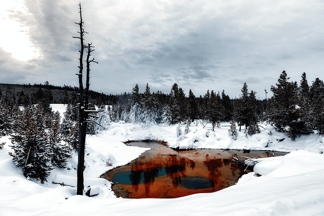A winter view of a thermal spring in Yellowstone National Park. The orange colour of the water is contrasting with a grey winter sky.