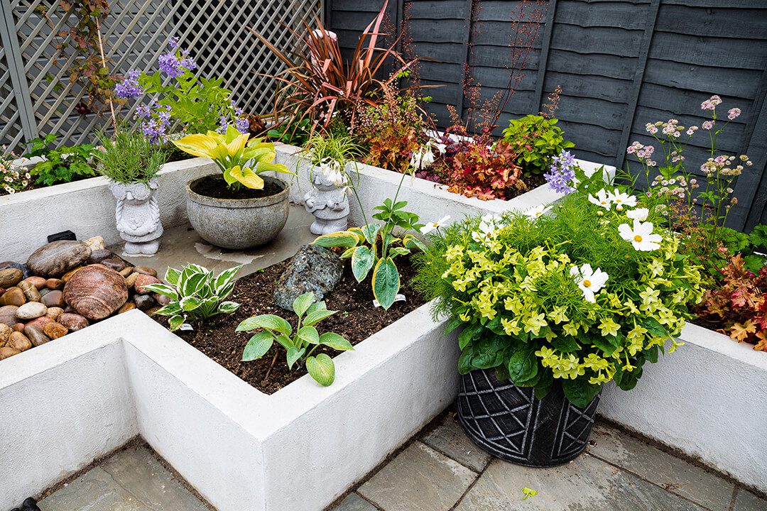 A detailed image of the corner of a garden with hard landscaped concrete planters filled with a variety of shade loving plants.